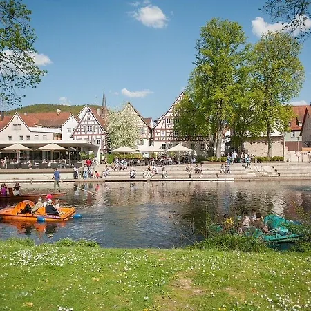 Ibis Styles Nagold-schwarzwald فندق 4*